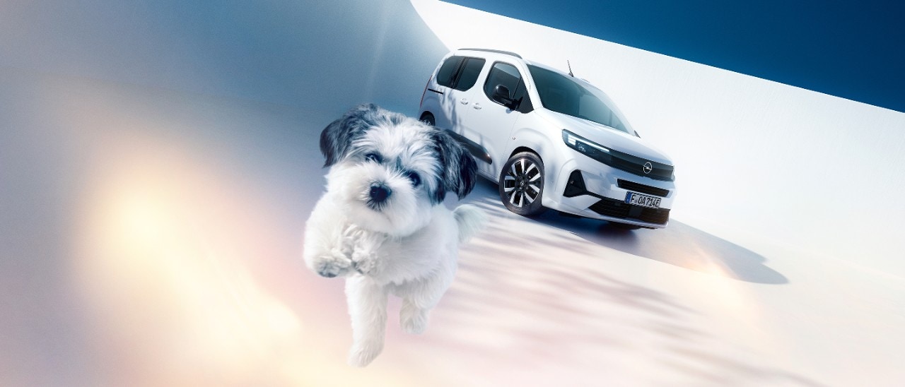 Bočný pohľad spredu na biely Opel Combo Electric so psom